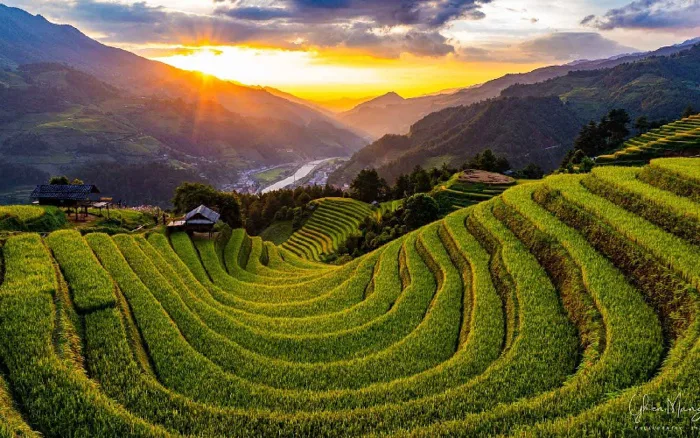 11 ruộng bậc thang đẹp nhất Việt Nam khiến ai cũng ngẩn ngơ