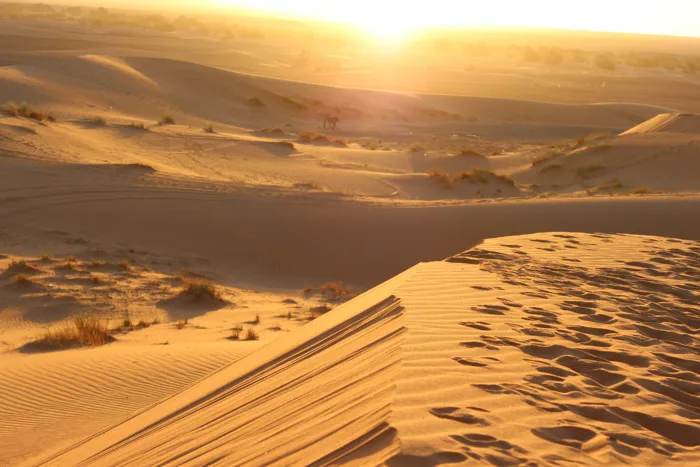 hình ảnh : phong cảnh, Sa mạc, Cồn cát, cao nguyên, Maroc, môi trường sống,  Sahara, Wadi, Hình thái đất, Erg, Berber, Discovermarocco, môi trường tự  nhiên, đặc điểm địa lý, Dạng