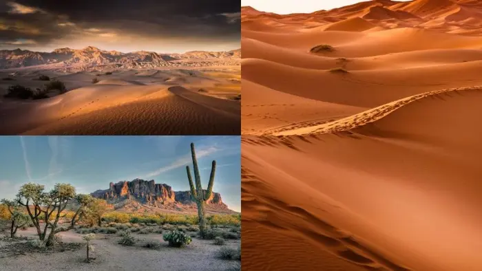 Ảnh background sa mạc full HD, 4K chuẩn đẹp cho dự án