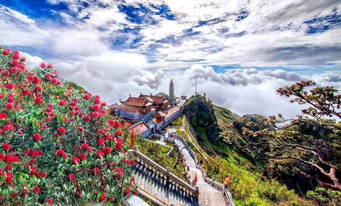 Cảnh đẹp Sa Pa mùa xuân & Gợi ý 6 điểm chiêm ngưỡng