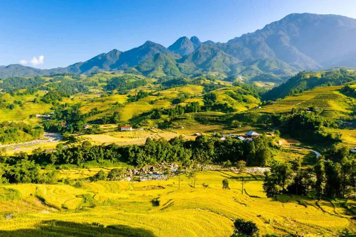 Vẻ đẹp quyến rũ của Sa Pa mùa lúa chín | baotintuc.vn