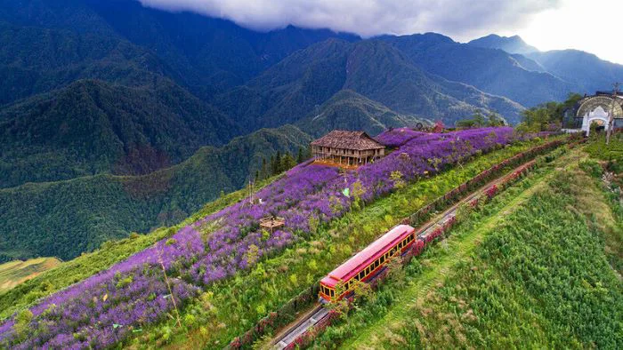 Cảnh đẹp SaPa - Những điểm đến đẹp ngây ngất lòng người