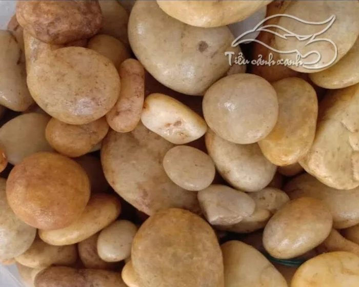 Đá sỏi vàng tự nhiên - Đá sỏi vang tự nhiên Hải Phòng