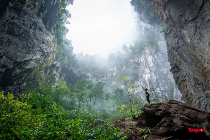 Hình ảnh ấn tượng ở Hang Sơn Đoòng xuất hiện tại phim Planet Earth III