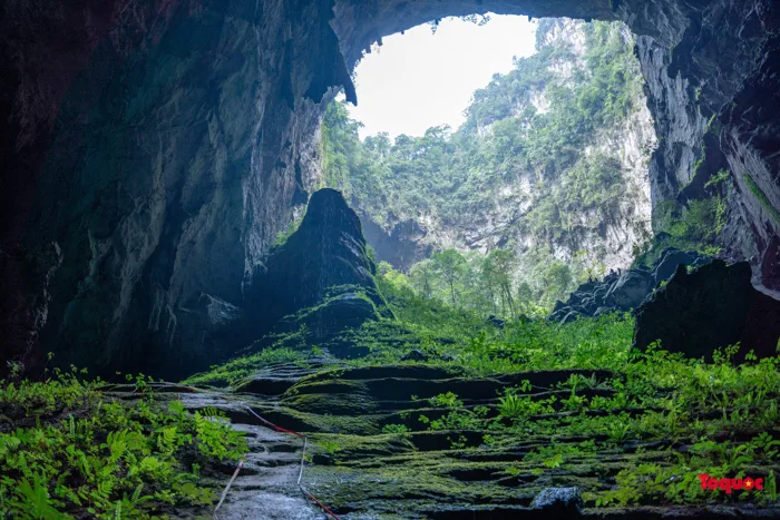 Hình ảnh ấn tượng ở Hang Sơn Đoòng xuất hiện tại phim Planet Earth III