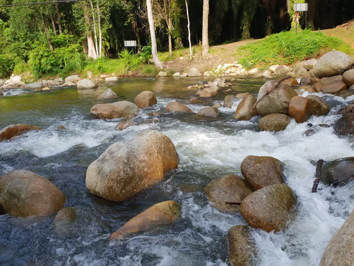hình ảnh : rừng, tài nguyên nước, Nước, Nguồn nước, Dòng suối, Phong cảnh thiên  nhiên, Tảng đá, Sông núi, Lạch nhỏ, Arroyo, Suối khoáng, đặc tính của nước,  con sông, phong