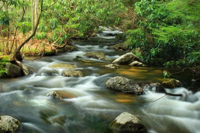 Hình ảnh miễn phí: nước, sông, sông, đá, sinh thái, thác nước, suối, thiên  nhiên, gỗ, creek