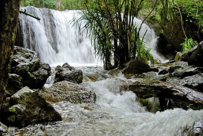 Suối Tranh Phú Quốc: Chiêm ngưỡng bức tranh thiên nhiên tuyệt hảo - MOTOGO
