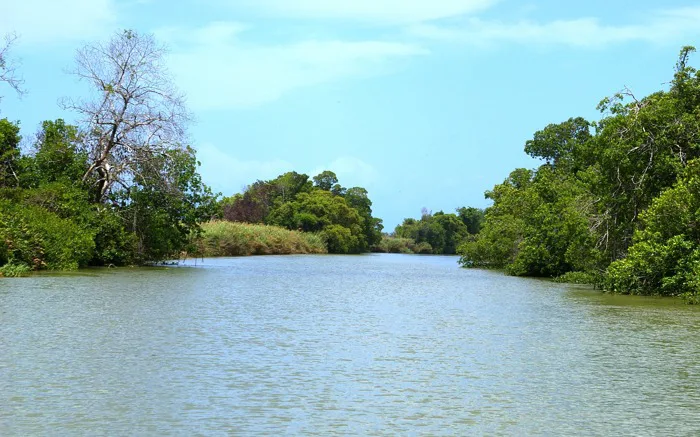 hình ảnh : cây, Nước, thiên nhiên, con sông, ao, Xe, nhanh, Hồ chứa, Đường thuỷ, Cơ thể của nước, Chèo thuyền, Đất ngập nước, đẹp, môi trường sống, Loch, Hệ sinh