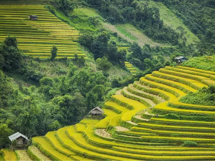 Núi rừng Tây Bắc với vẻ đẹp hoang sơ đặc trưng của chốn non cao