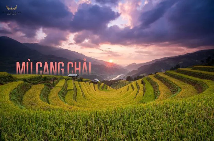 Khám phá TOP 14 cảnh đẹp Tây Bắc (Mới nhất 2025)
