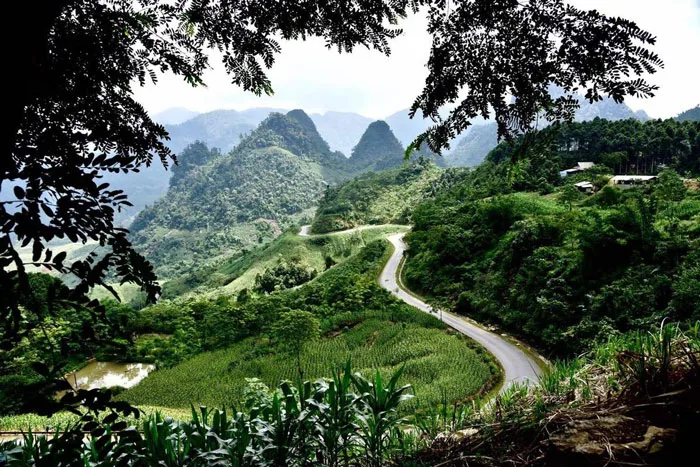 Du lịch Tây Bắc: Khám phá đêm đại ngàn Nà Hẩu