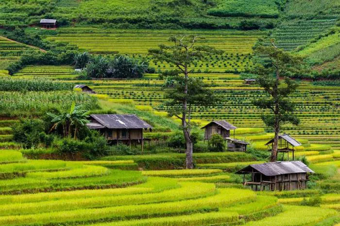 Kinh nghiệm Phượt Tây Bắc mùa Đông