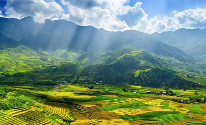 Top 11 Bài văn phân tích bức tranh thiên nhiên trong bài thơ 