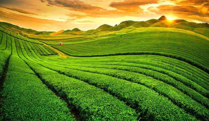 Khám phá vẻ đẹp tự nhiên của núi rừng Tây Bắc