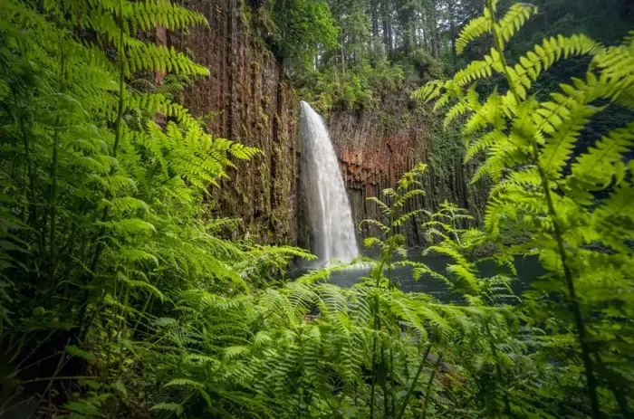 How to Photograph Waterfalls | Relaxing POV Fairytale Landscape Photography