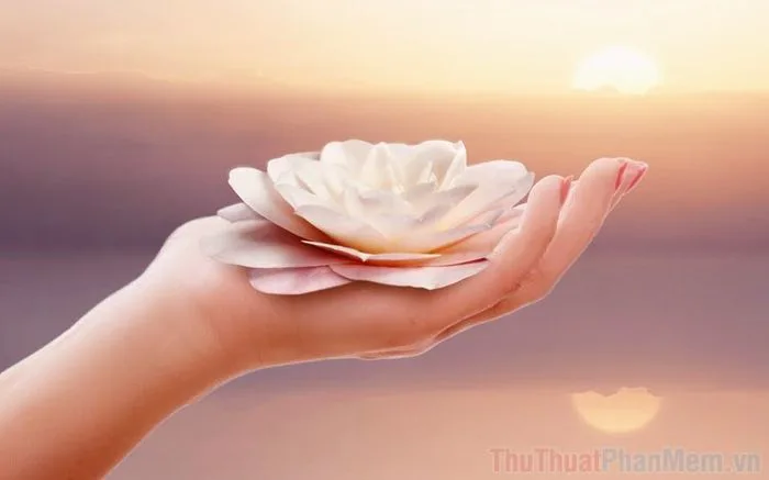 Những hình ảnh tâm hồn tĩnh lặng đẹp nhất