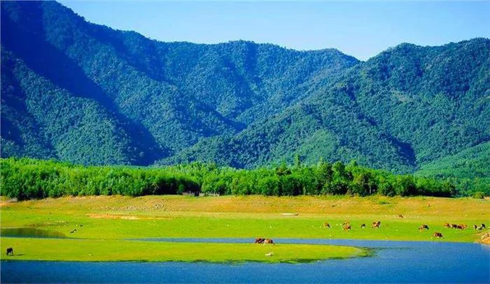 Lạc Bước Giữa Bức Tranh Thiên Nhiên Thơ Mộng Tại 4 Thảo Nguyên Xanh Nổi  Tiếng Ở Việt Nam