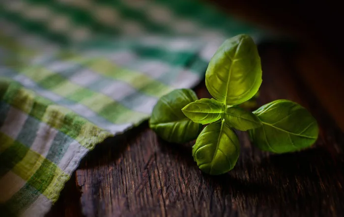 30000+ Thảo Nguyên & ảnh Thiên Nhiên miễn phí - Pixabay