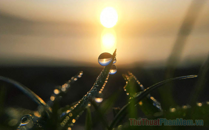 Khoảnh khắc nắng đẹp