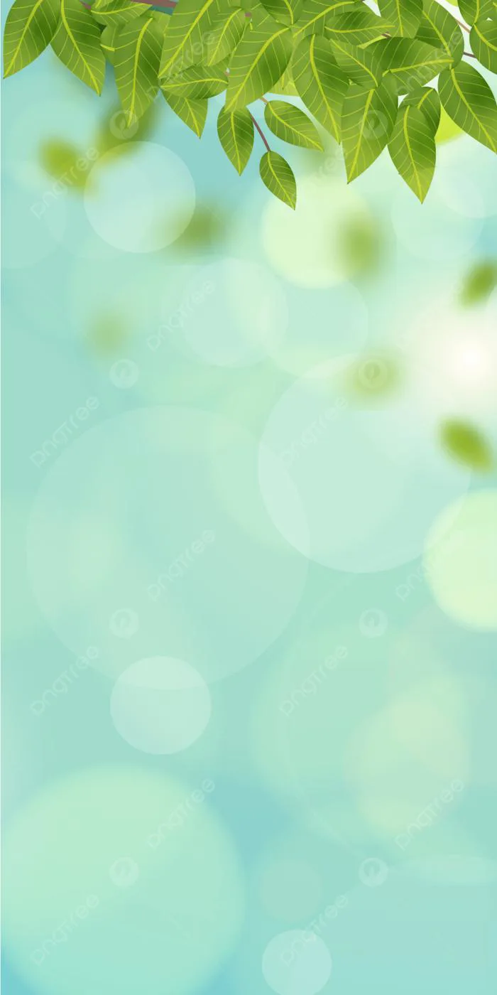 Nền Thiên Nhiên Trừu Tượng Màu Xanh Lá Cây Và Nắng Sáng Mờ Hình Nền Cho Tải  Về Miễn Phí - Pngtree