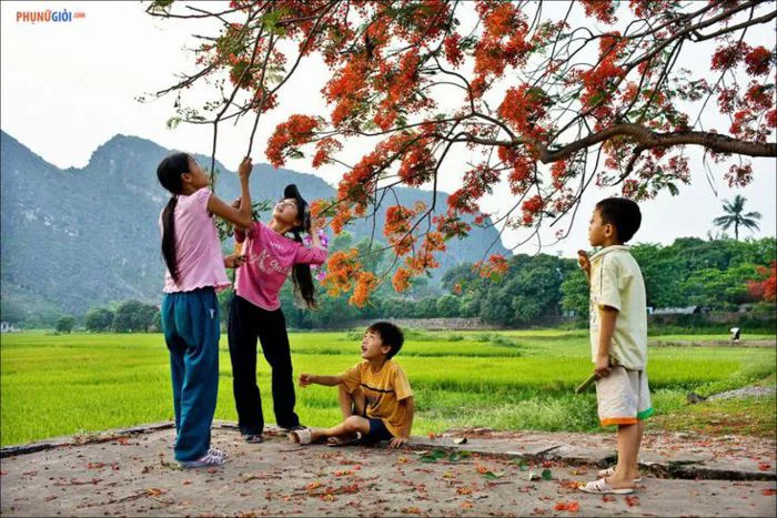 Hình ảnh tuổi thơ – “chiếc vé” giúp bạn trở về quá khứ