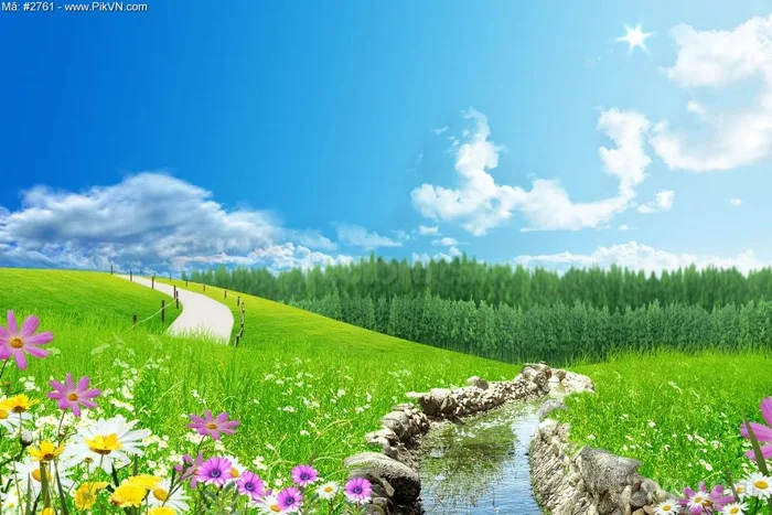 Lưu trữ Phong cảnh thiên nhiên - Vector6 All New - Super AI Design