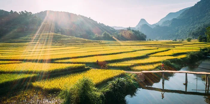 15 Phong Cảnh Ấn Tượng Của Việt Nam | Vietnam Trail Series