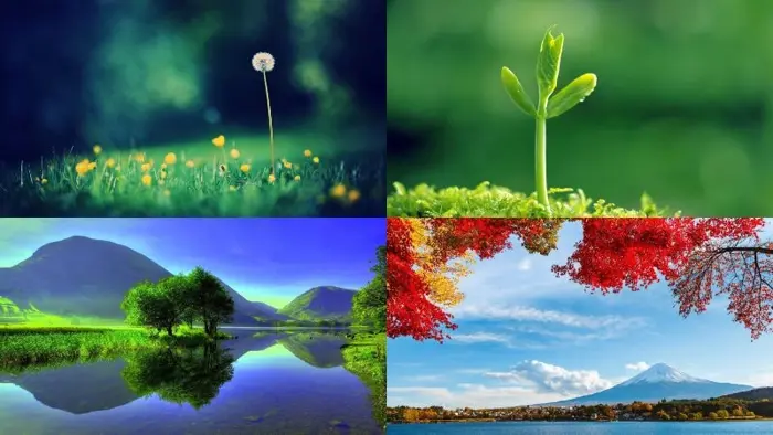 Top 100 ảnh background thiên nhiên cực chill cho mọi dự án