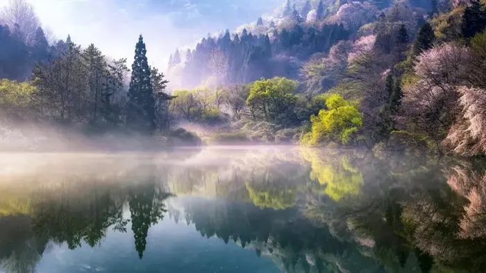 Top 100 ảnh background thiên nhiên cực chill cho mọi dự án