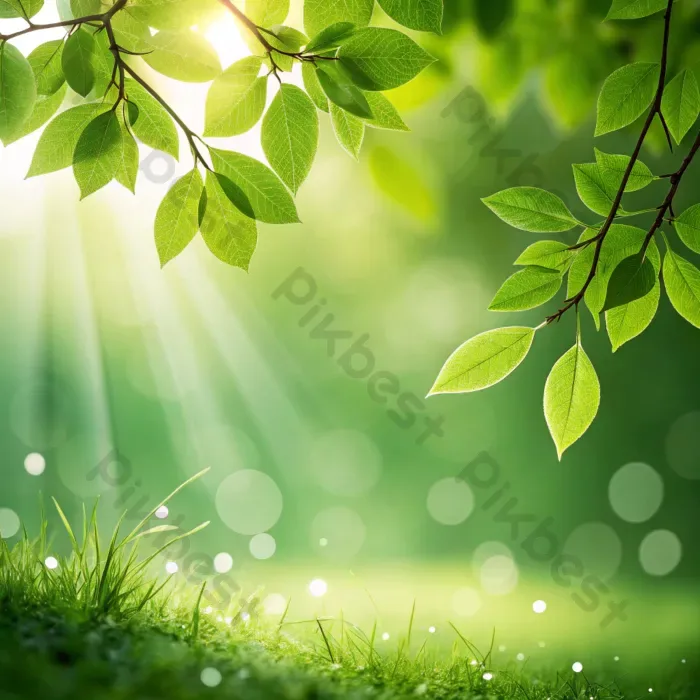 Tải miễn phí Hình Nền Thiên Nhiên Xanh Tươi Mát Với Những Tán Lá Mờ ảo. Nền  | JPG chuyên nghiệp - Pikbest