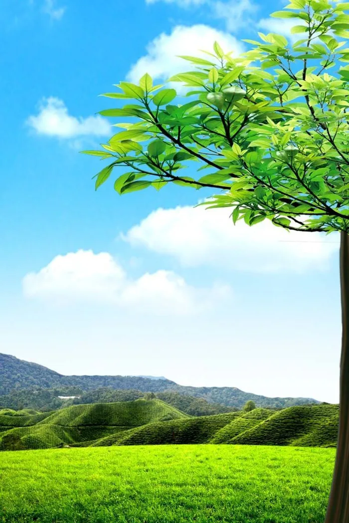 Tổng hợp 30+ hình nền màu xanh tuyệt đẹp mà bạn không thể bỏ qua