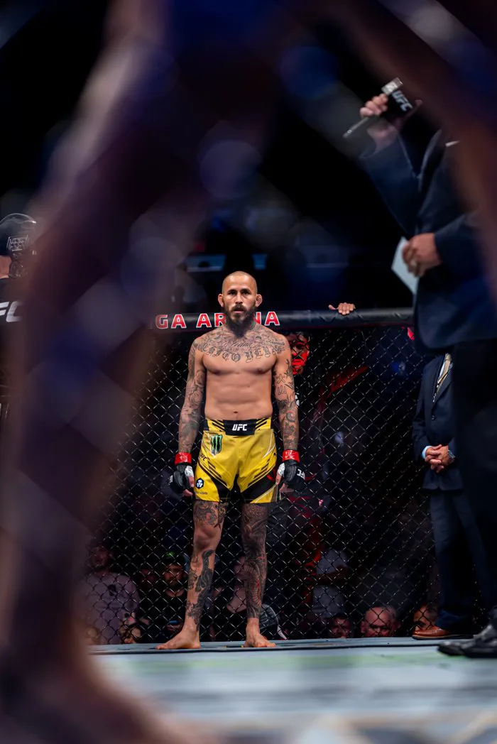 iPhone UFC Wallpapers - Wallpaper Cave