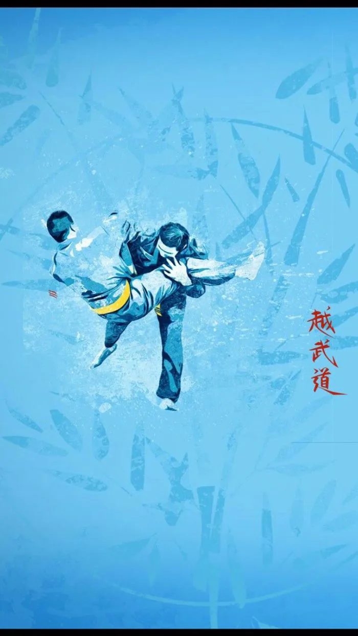 hinh-nen-vovinam-1