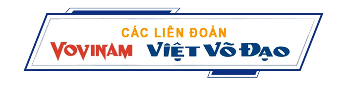 Liên đoàn Vovinam Việt Nam - Vietnam Vovinam Federation (VVF)