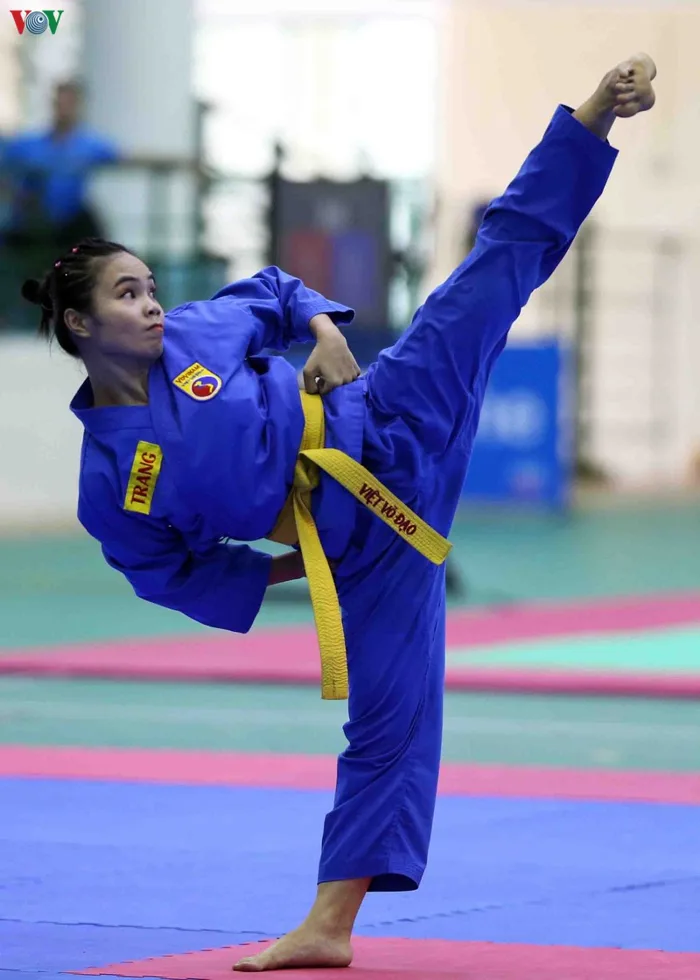 Vovinam Việt Nam đánh dấu sự trở lại sau dịch Covid-19 - Báo và Phát thanh  - Truyền hình Ninh Bình