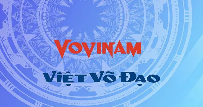 Liên đoàn Vovinam Việt Nam - Vietnam Vovinam Federation (VVF)