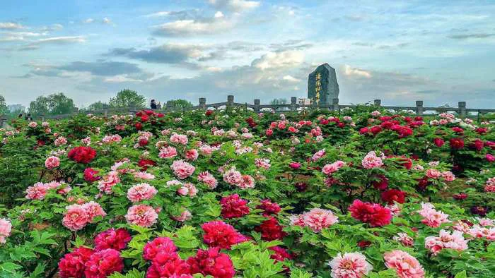 Chiêm ngưỡng bộ sưu tập hình nền vườn hoa đầy nghệ thuật