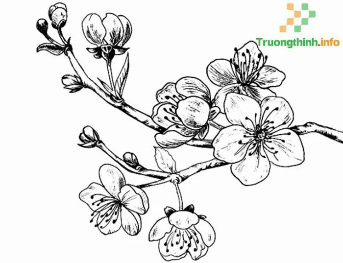 1️⃣】 Tranh tô màu bánh chưng, bánh tét ngày Tết đẹp, đơn giản cho bé ™