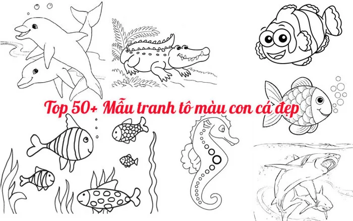 Top 50+ Mẫu tranh tô màu con cá đẹp, chất lượng, ngầu nhất cho bé 2021 |  Topshare.vn