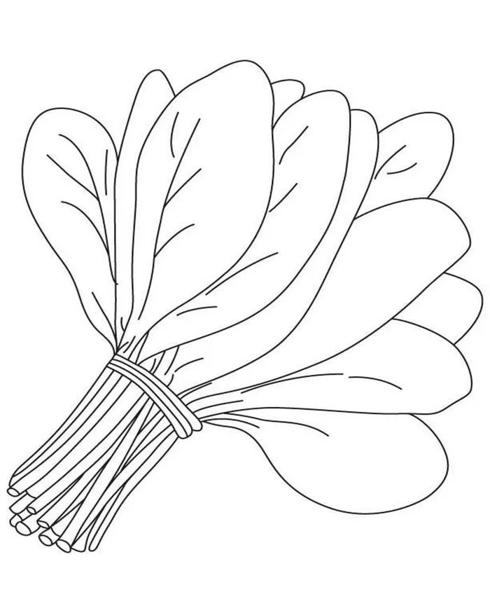 Tranh tô màu rau