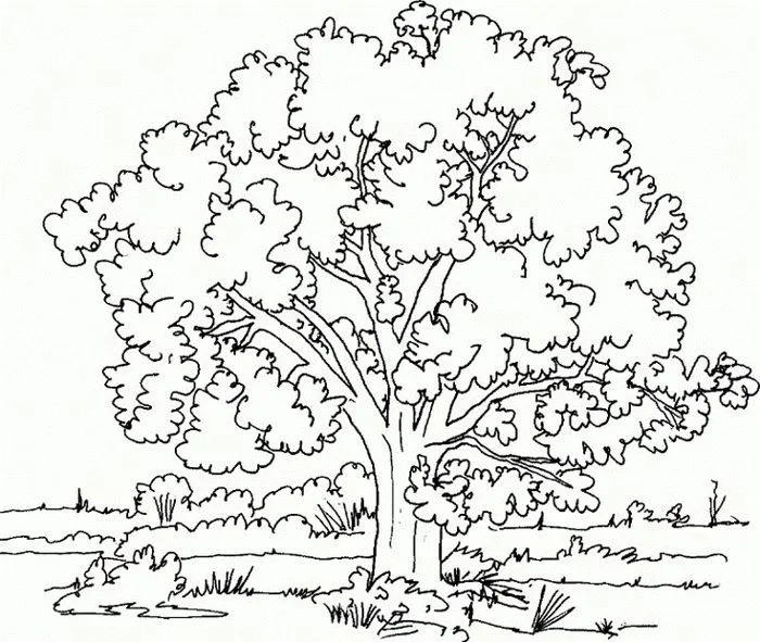 Tree Coloring Page | Christmas Tree Coloring Page | Trang tô màu, Sách tô  màu, Tranh