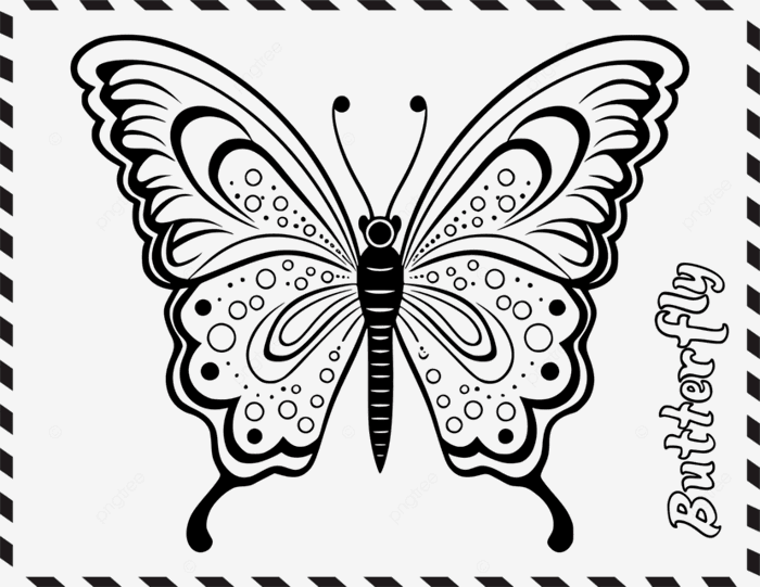 Hình ảnh Tranh Tô Màu Con Bướm Dễ Thương Cho Trẻ Em PNG , Clip Nghệ Thuật  Bướm, Clipart Vẽ, Clip Nghệ Thuật Trẻ Em PNG và Vector với nền trong suốt