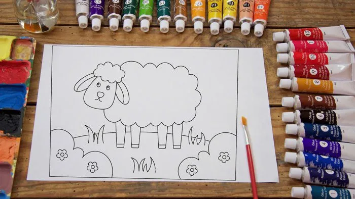 Tô Màu Con Cừu | Coloring a Sheep