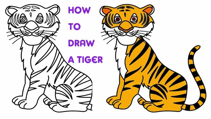 Vẽ Con Hổ Đơn Giản Và Tô Màu Cho Bé | How to draw a tiger