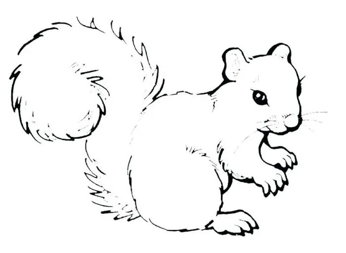 Tổng hợp các bức tranh tô màu con sóc đẹp nhất cho bé tập tô