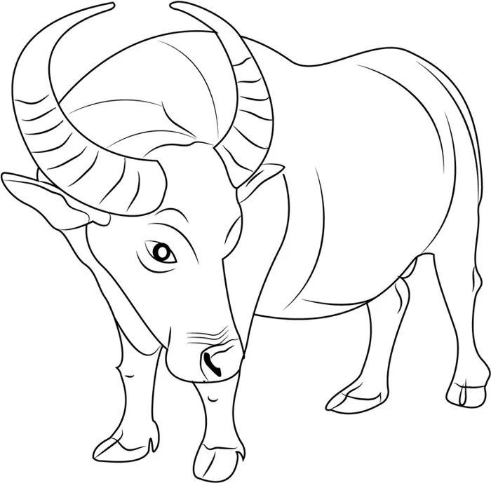 tranh-to-mau-con-trau-1