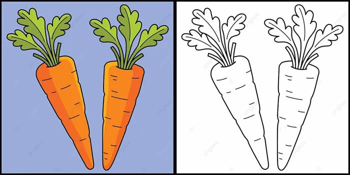 Hình ảnh Minh Họa Tranh Tô Màu Rau Củ Cà Rốt Clip Nghệ Thuật Hoạt Hình Bổ Dưỡng Vector PNG , Clipart Nghệ Thuật, Clip Nghệ Thuật Hoạt Hình, Clipart Cà Rốt Hình ảnh Minh Họa Tranh Tô Màu Rau Củ Cà Rốt Clip Nghệ Thuật Hoạt Hình Bổ Dưỡng Vector PNG , Clipart Nghệ Thuật, Clip Nghệ Thuật Hoạt Hình, Clipart Cà Rốt