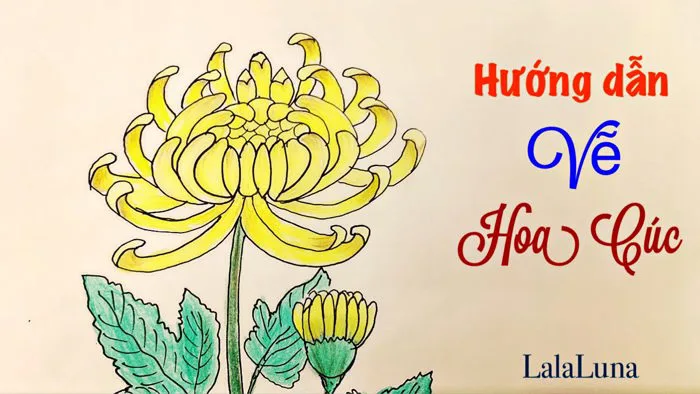 Hướng dẫn vẽ và tô màu Hoa Cúc chi tiết, đẹp và ngầu | Vẽ hoa cúc và nghe  kể sự tích hoa cúc rất hay
