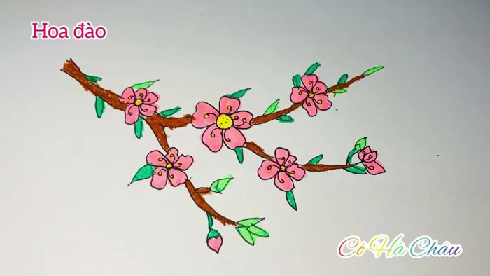 BÀI THƠ: HOA ĐÀO, HOA MAI | VẼ VÀ TÔ MÀU HOA ĐÀO | How to draw peach  blossom | CHÂU HÀ LÊ
